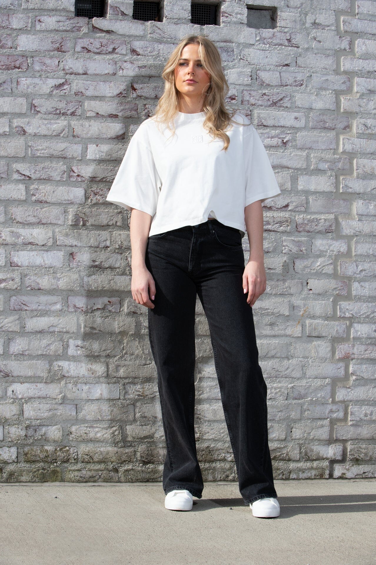 Anine Bing Myers Cropped Tee Framed Monogram Ivory T-shirt