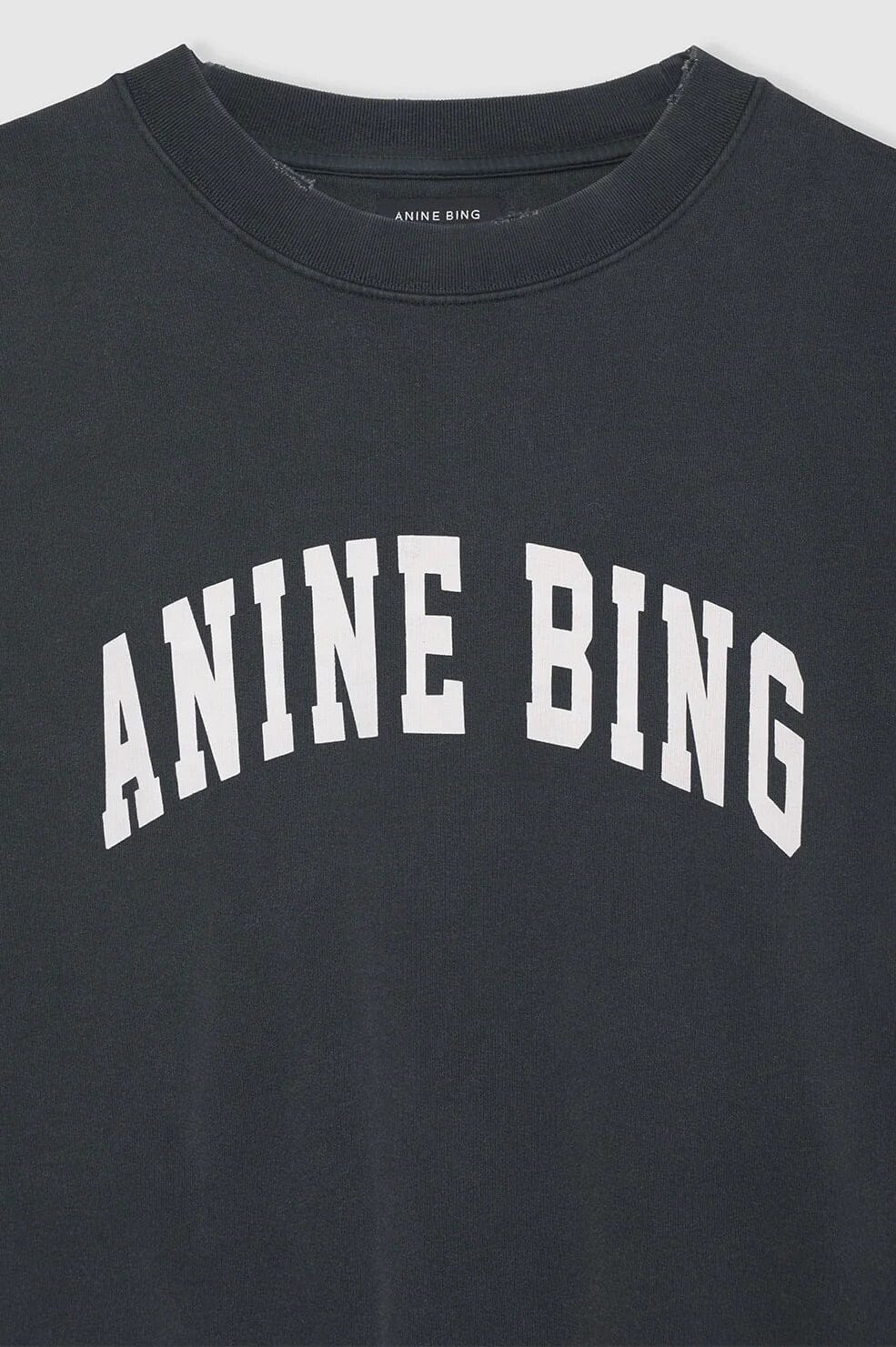 Anine Bing Tyler Sweatshirt Washed Black Genser