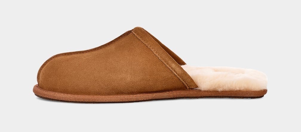 UGG Scuff Chestnut Sko