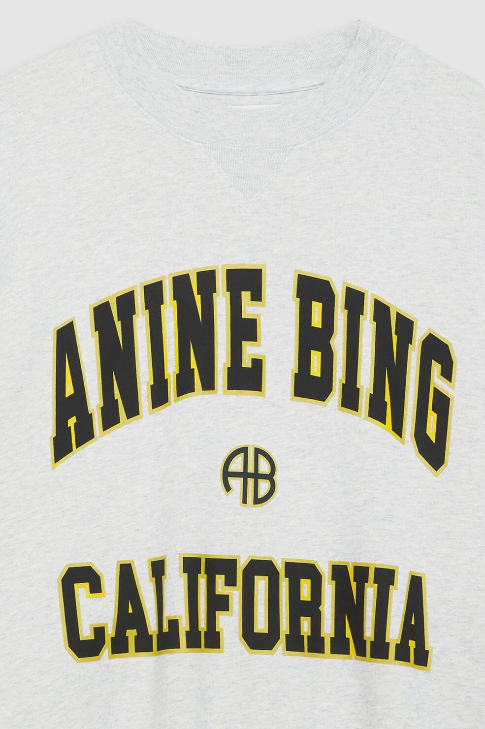 Anine Bing Jaci Sweatshirt Anine Bing California Grey Melange Genser