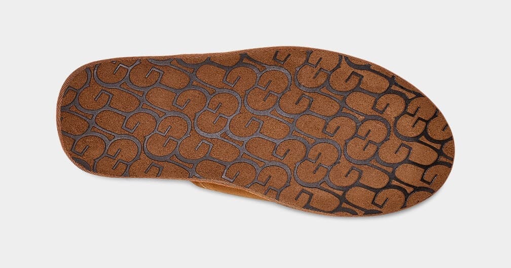 UGG Scuff Chestnut Sko