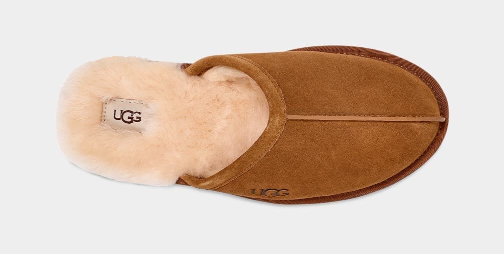 UGG Scuff Chestnut Sko