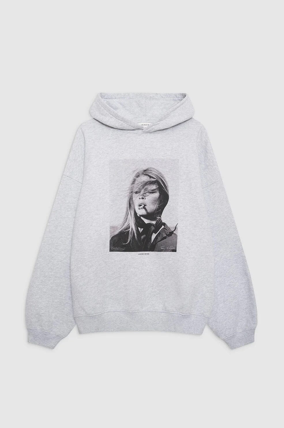 Anine Bing Harvey Sweatshirt Ab X To X Brigitte Bardot Grey Melange Genser