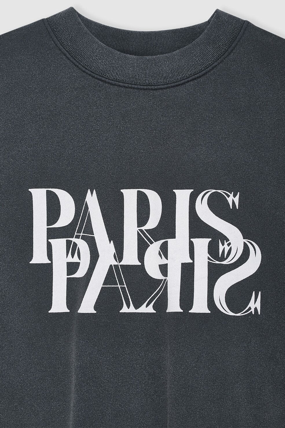 Anine Bing Jaci Sweatshirt Paris Washed Black Genser
